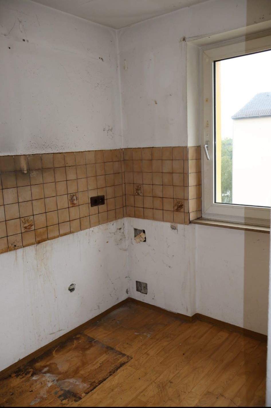 WhatsApp Image 2024-07-07 at 17.37.56