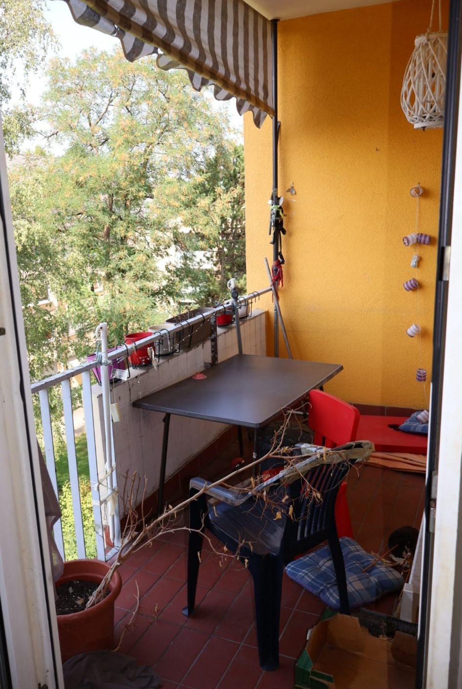 WhatsApp Image 2024-07-07 at 17.38.45