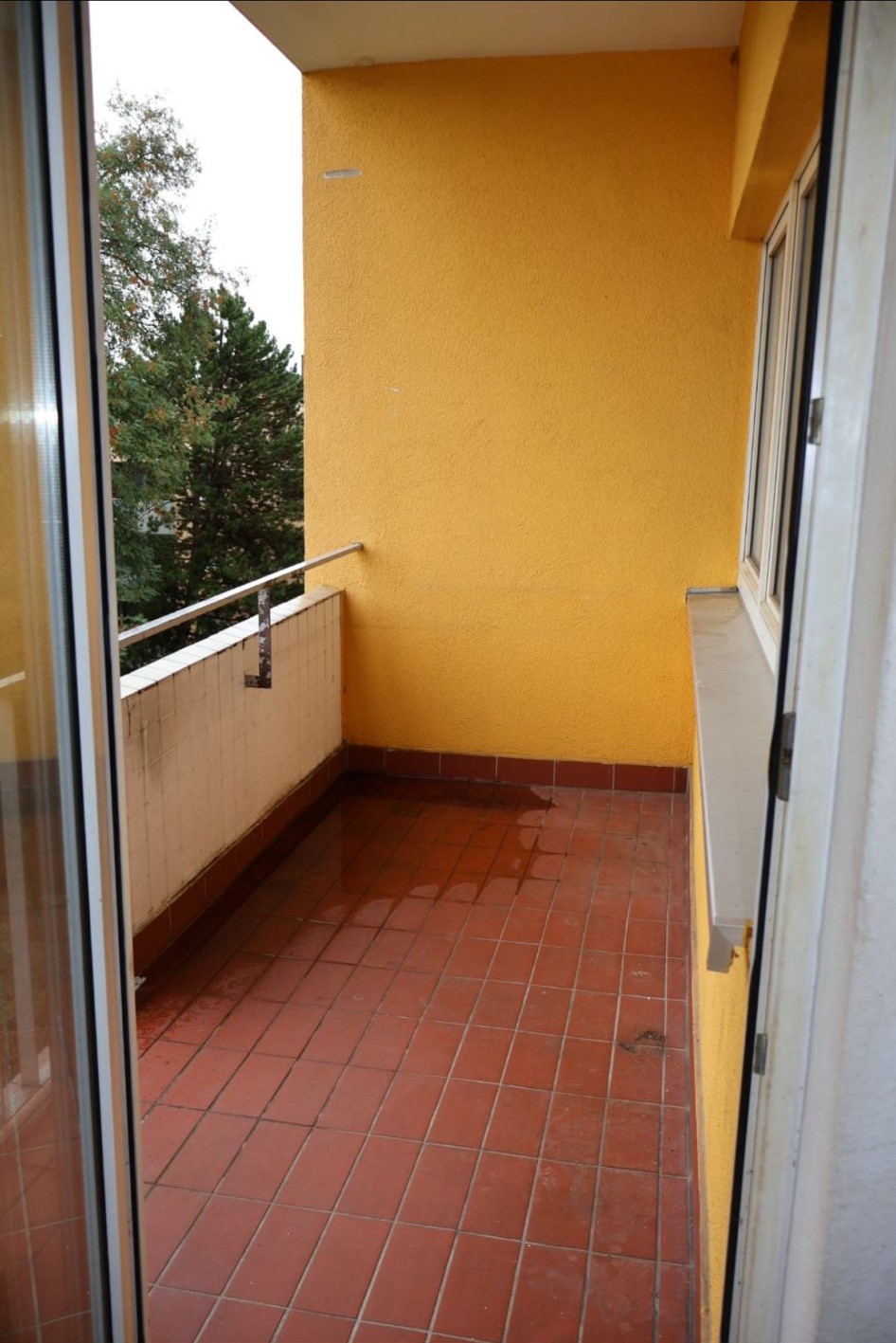 WhatsApp Image 2024-07-07 at 17.38.46