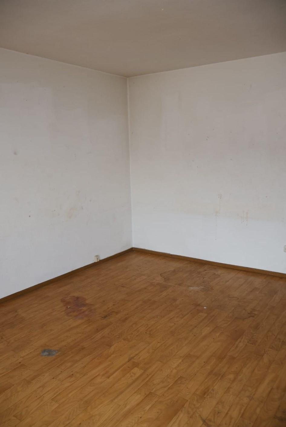 WhatsApp Image 2024-07-07 at 17.39.06