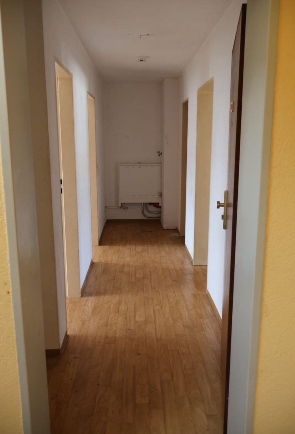 WhatsApp Image 2024-07-07 at 17.39.26